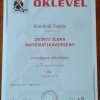 A XXVIII. Zrínyi Ilona Matematikai Verseny országos döntője